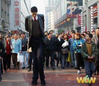 chof_weskot                           awla ............